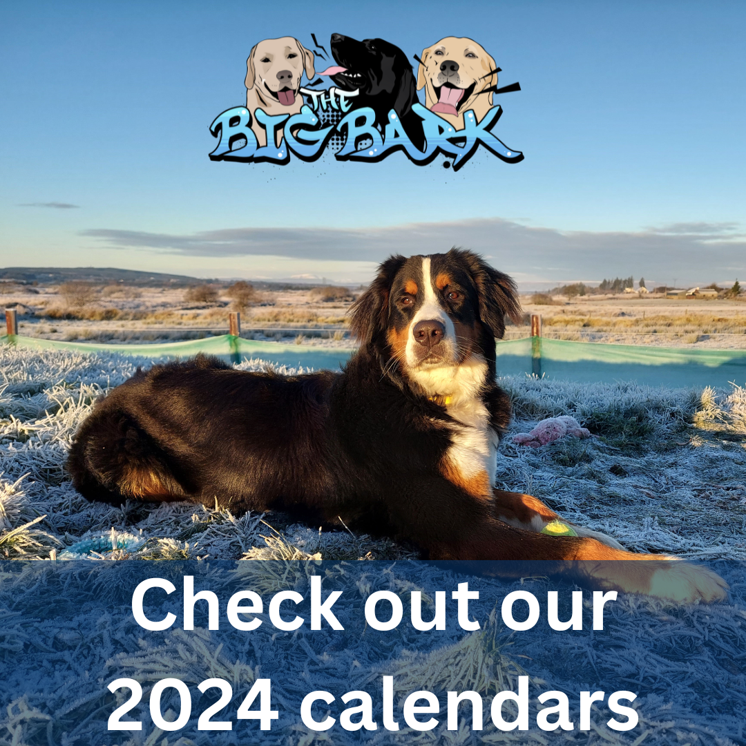 The Big Bark 2024 Charity calendar Ola Version