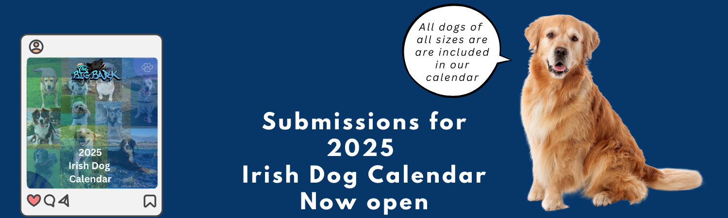 Submit images for The Irish Dog Calendar 2025 by The Big Bark podcast