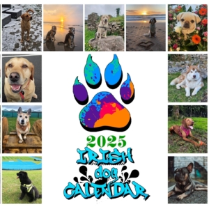 The Irish Dog Calendar 2025